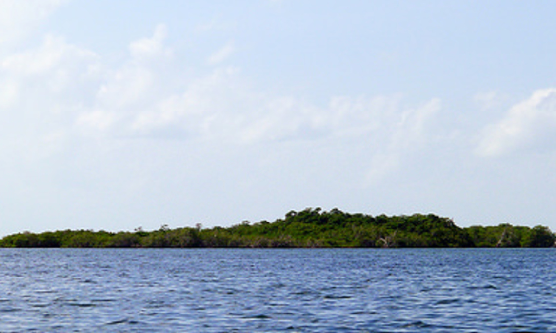 Bambu Suites & Hotel Bambu Suites & Hotel