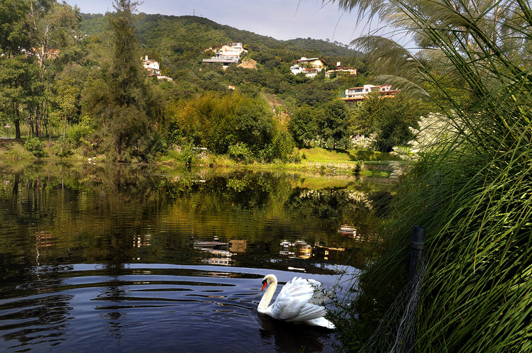 Convivir con la Naturaleza Convivir con la Naturaleza